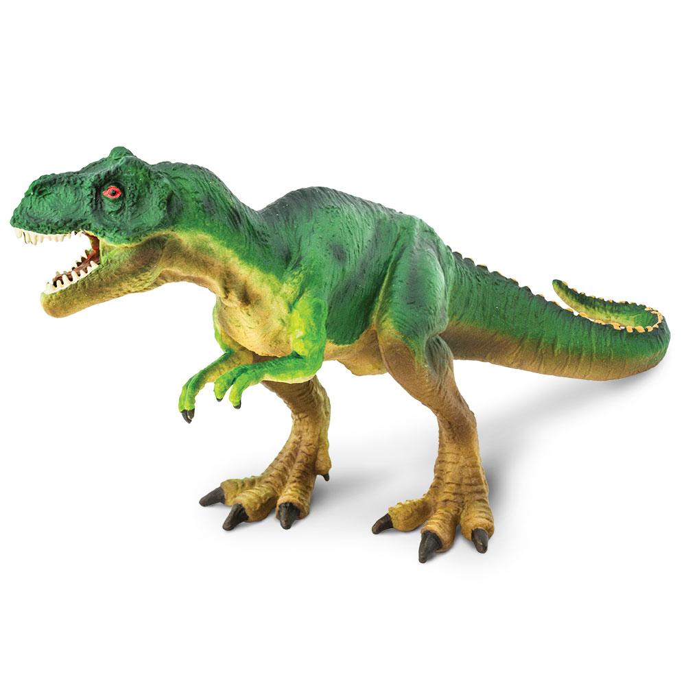 Tyrannosaurus Rex, in Different Poses for Better Adaptation To Your  Collagen. Stock Illustration - Illustration of background, green: 220028383